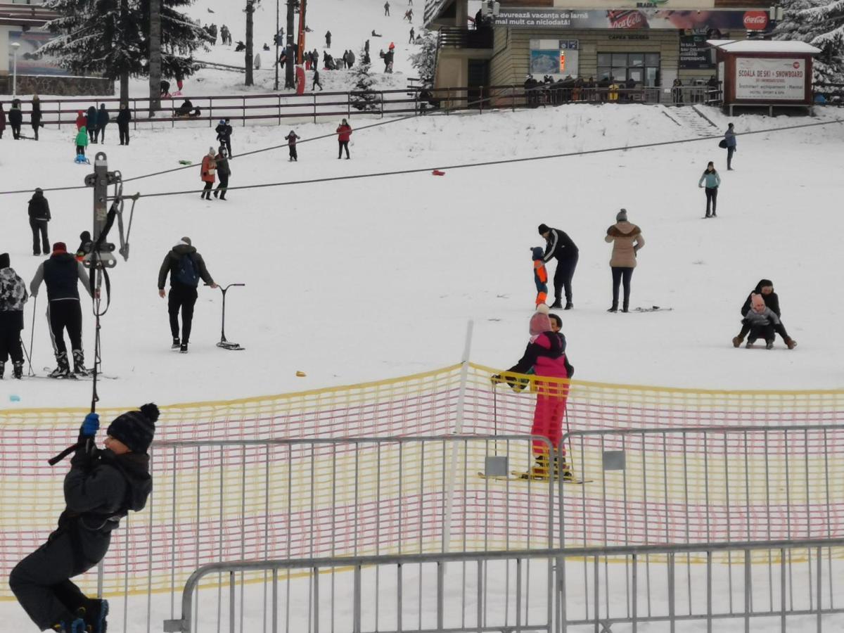 Pension Condor Poiana Braşov Dış mekan fotoğraf