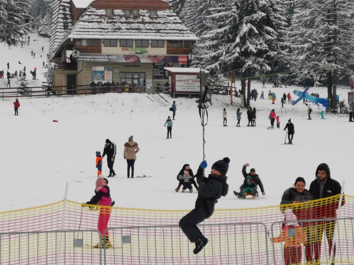 Pension Condor Poiana Braşov Dış mekan fotoğraf